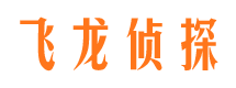 秀城市侦探